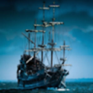 Meet your Posher, Benji